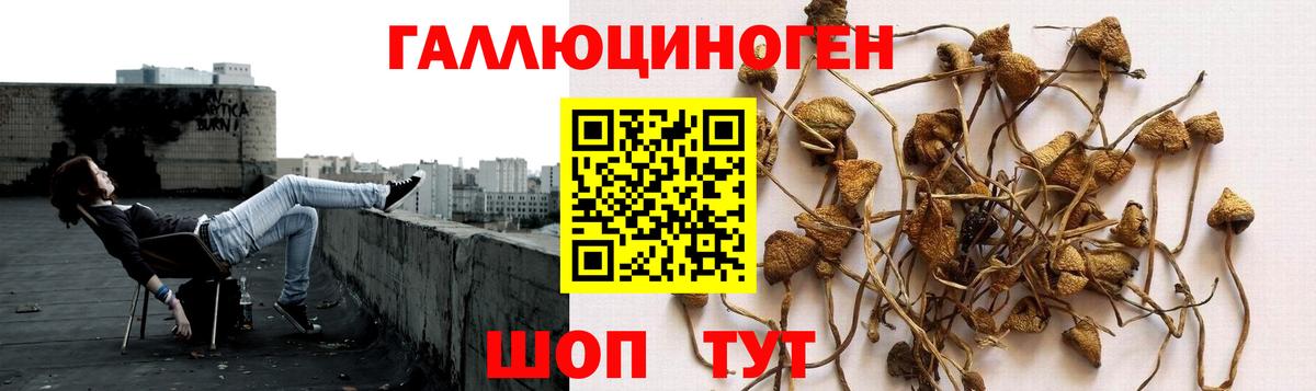 Псилоцибиновые грибы MAGIC MUSHROOMS  Псилоцибиновые грибы Cubensis  Кемерово  Вход с VPN 